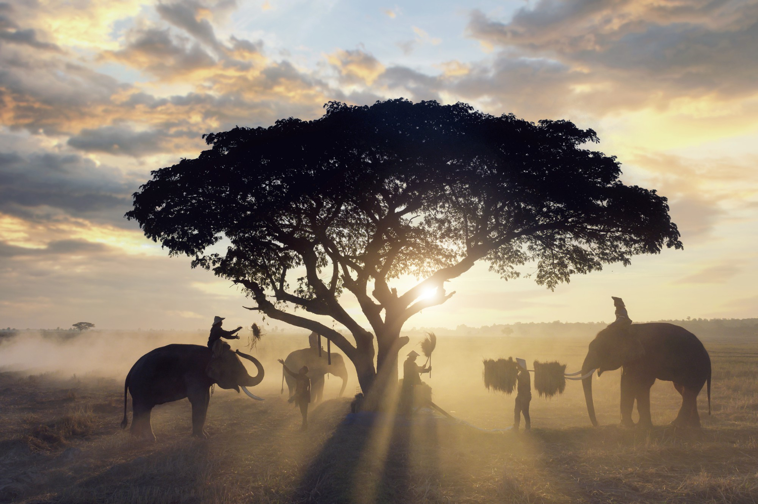 5 Aziatische landen die iedereen ooit zou moeten bezoeken
